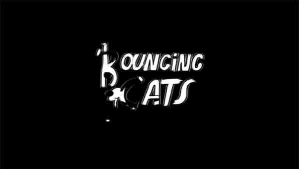 bouncingcats4