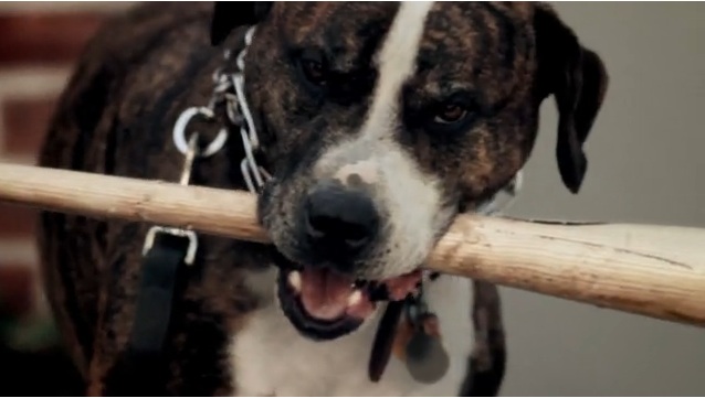 Untitlevvfgd Untitlevvfgd