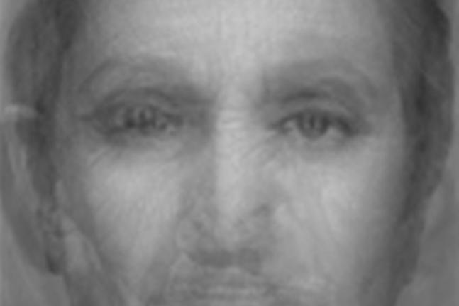 designpark_web_647x431